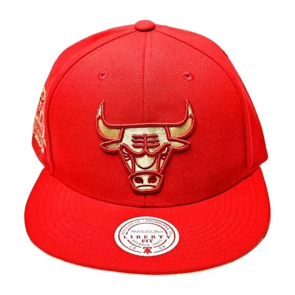 Chicago Bulls Mitchell & Ness Chrome Elements 40th Anniversary Snapback Hat NWT!